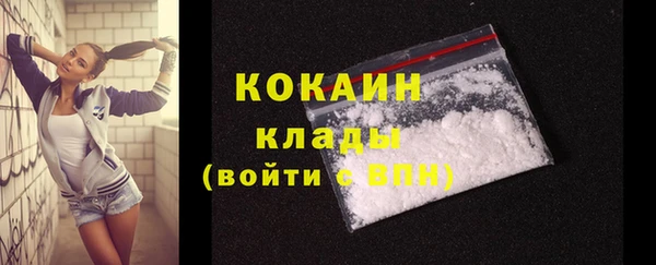 Альфа ПВП Пересвет
