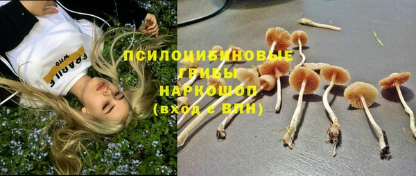 прущая мука Переславль-Залесский