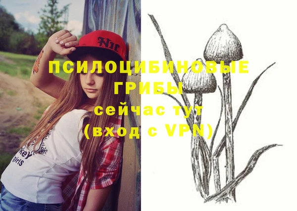 прущая мука Переславль-Залесский