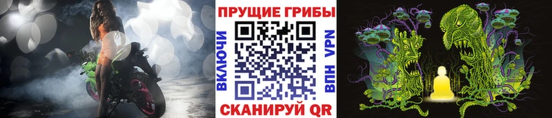 Галлюциногенные грибы Cubensis  Струнино 